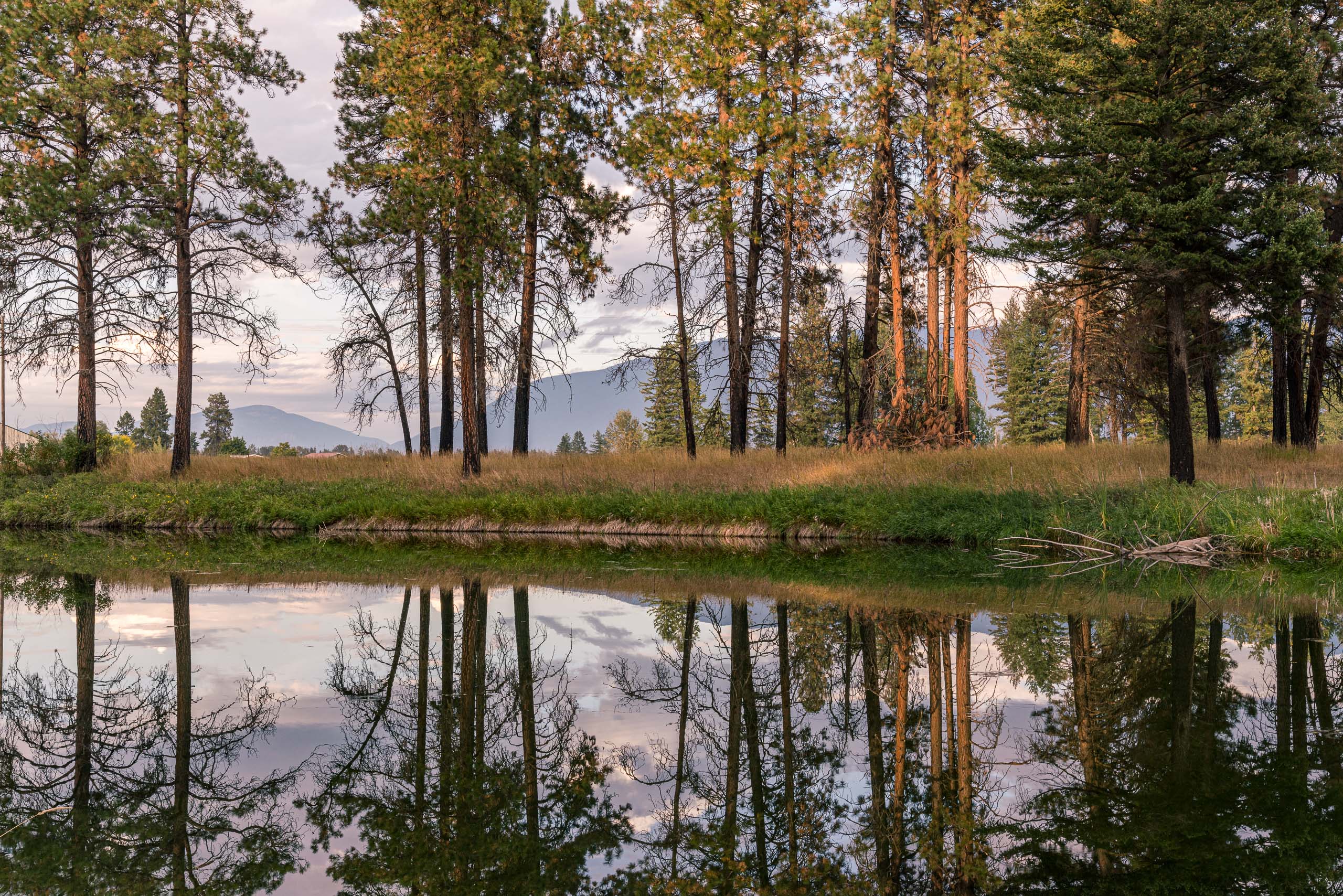 Travel and landscape photography of Glacier National Park, Montana, USA made by New York photographer Mary Catherine Messner (mcmessner).