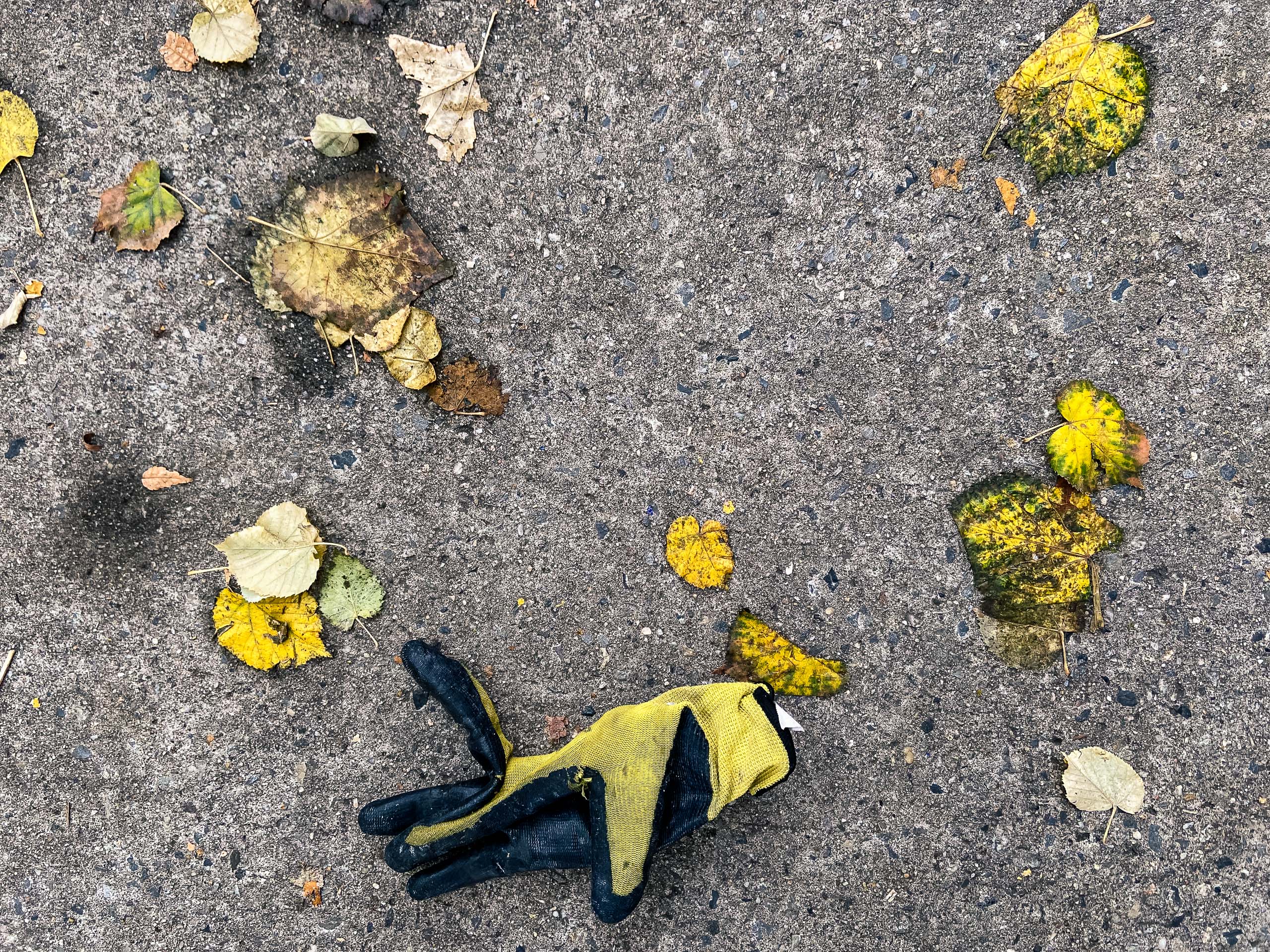 Travel and street photography of New York City, New York, USA made by New York photographer Mary Catherine Messner (mcmessner).