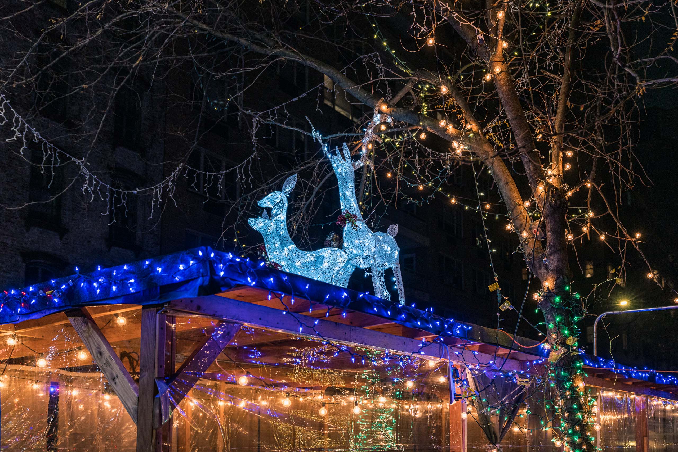 Travel and street photography of Christmas in New York City, New York, USA made by New York photographer Mary Catherine Messner (mcmessner).