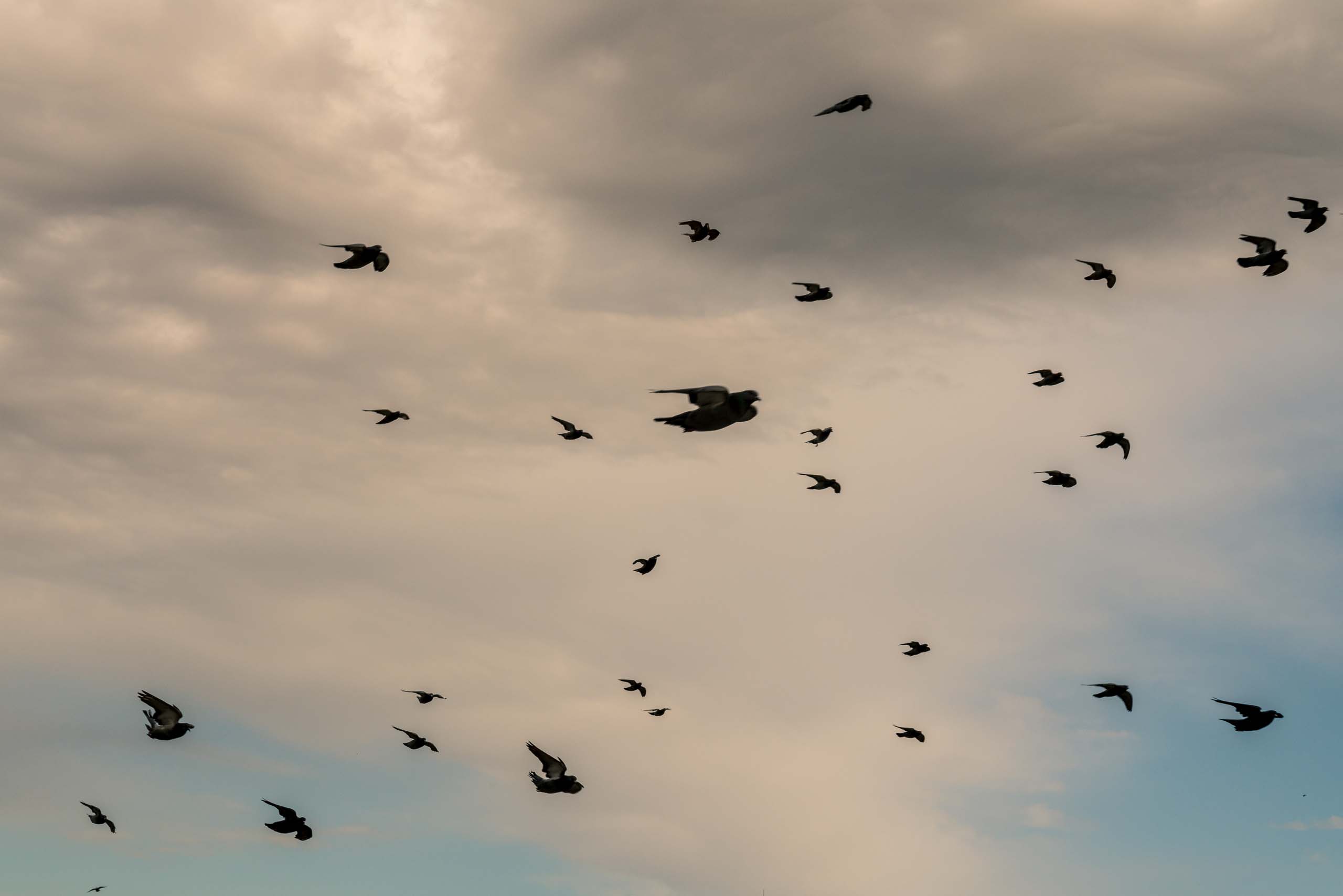 Travel and street photography of New York City, New York, USA made by New York photographer Mary Catherine Messner (mcmessner).