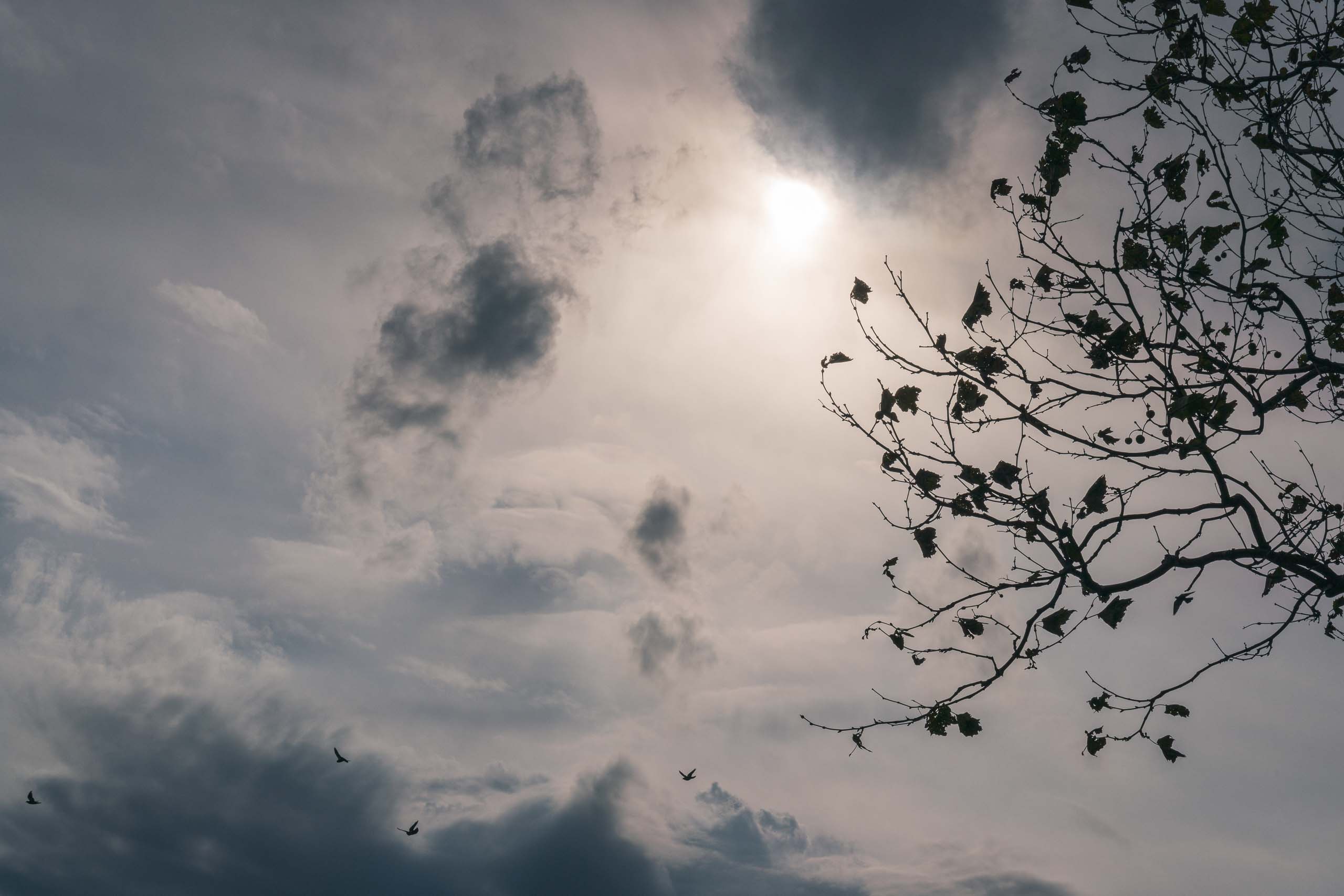 Travel and street photography of New York City, New York, USA made by New York photographer Mary Catherine Messner (mcmessner).