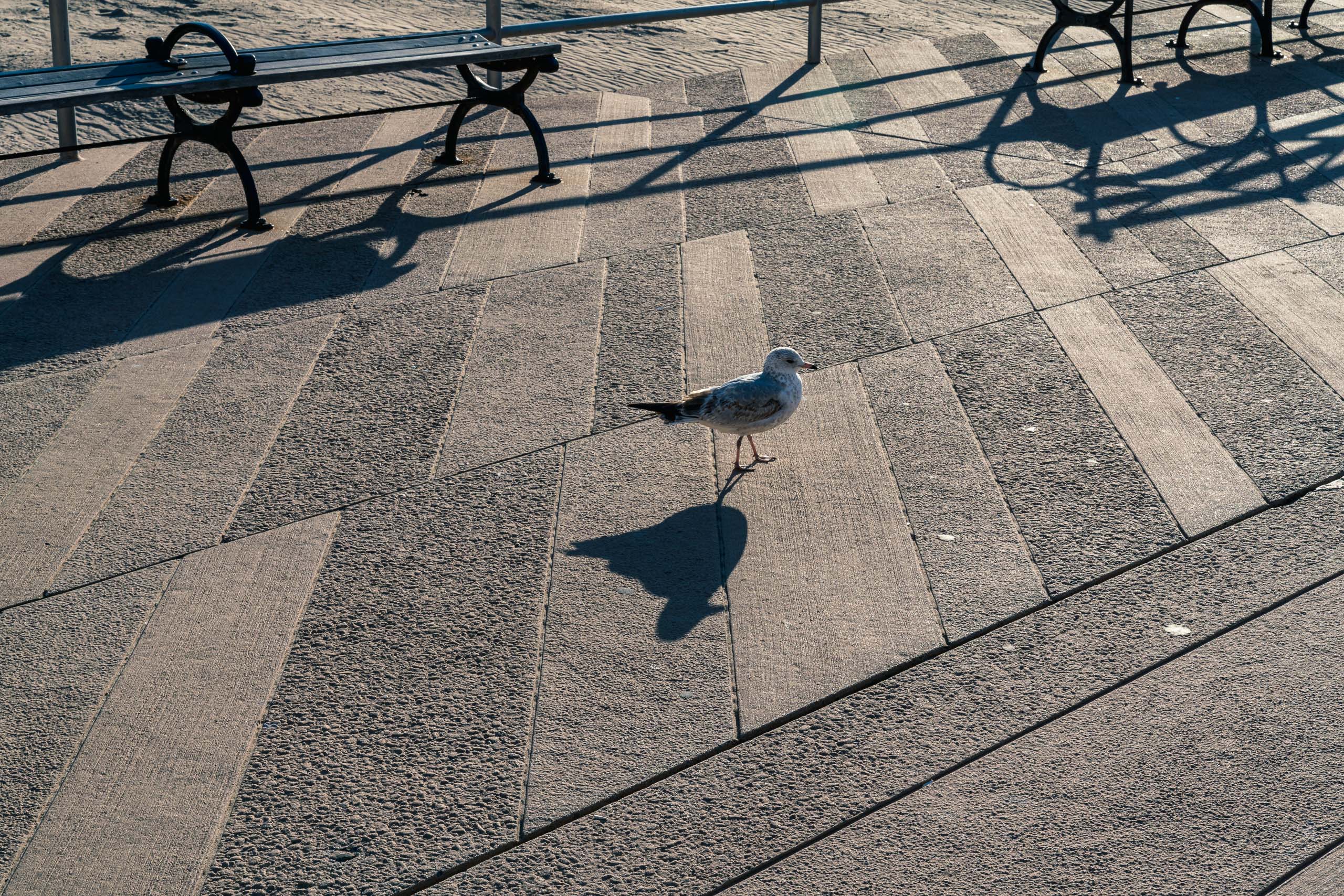 Travel and street photography of Coney Island, New York City, New York, USA made by New York photographer Mary Catherine Messner (mcmessner).