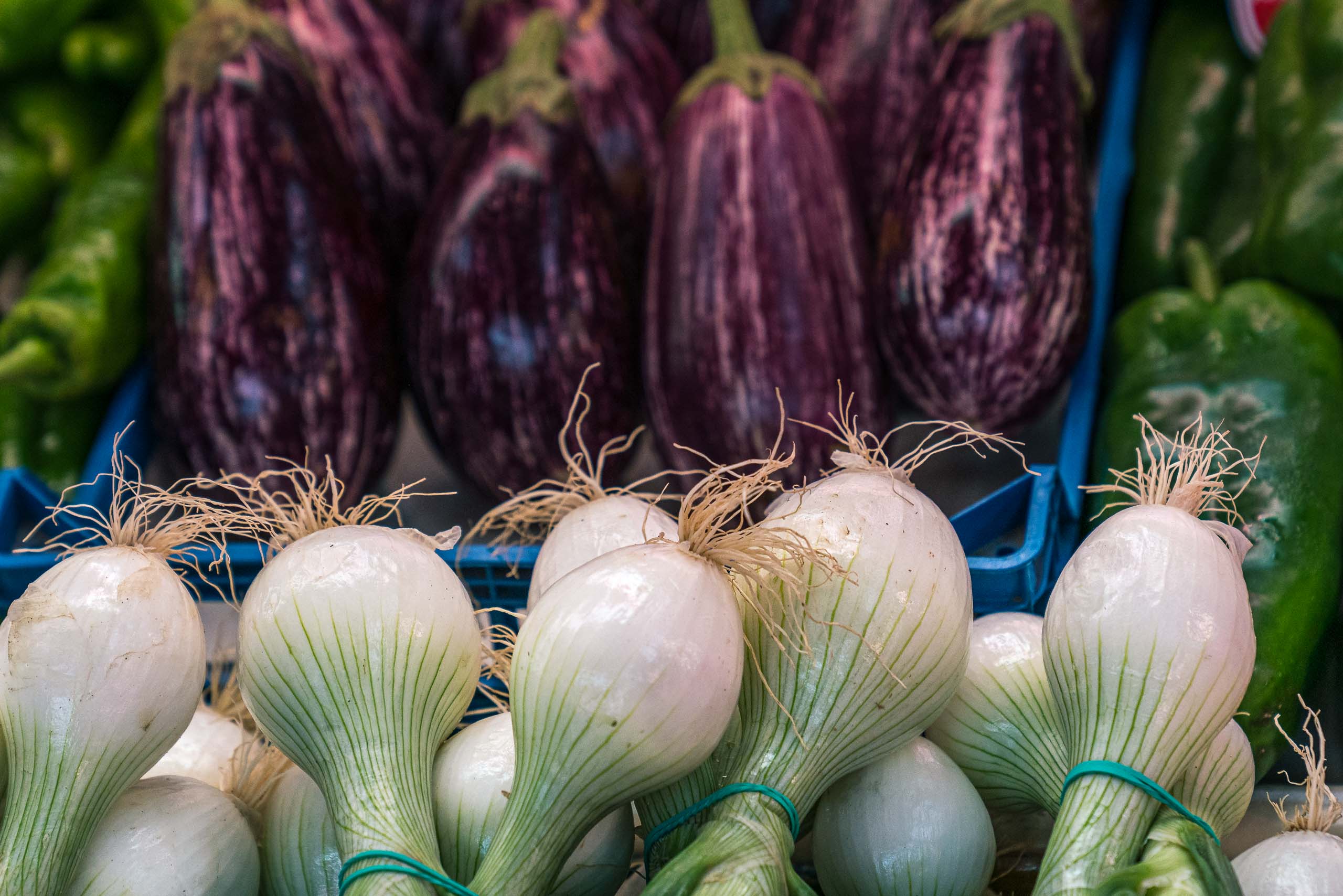 Travel and street photography of Valencia Spain made by New York photographer Mary Catherine Messner (mcmessner).