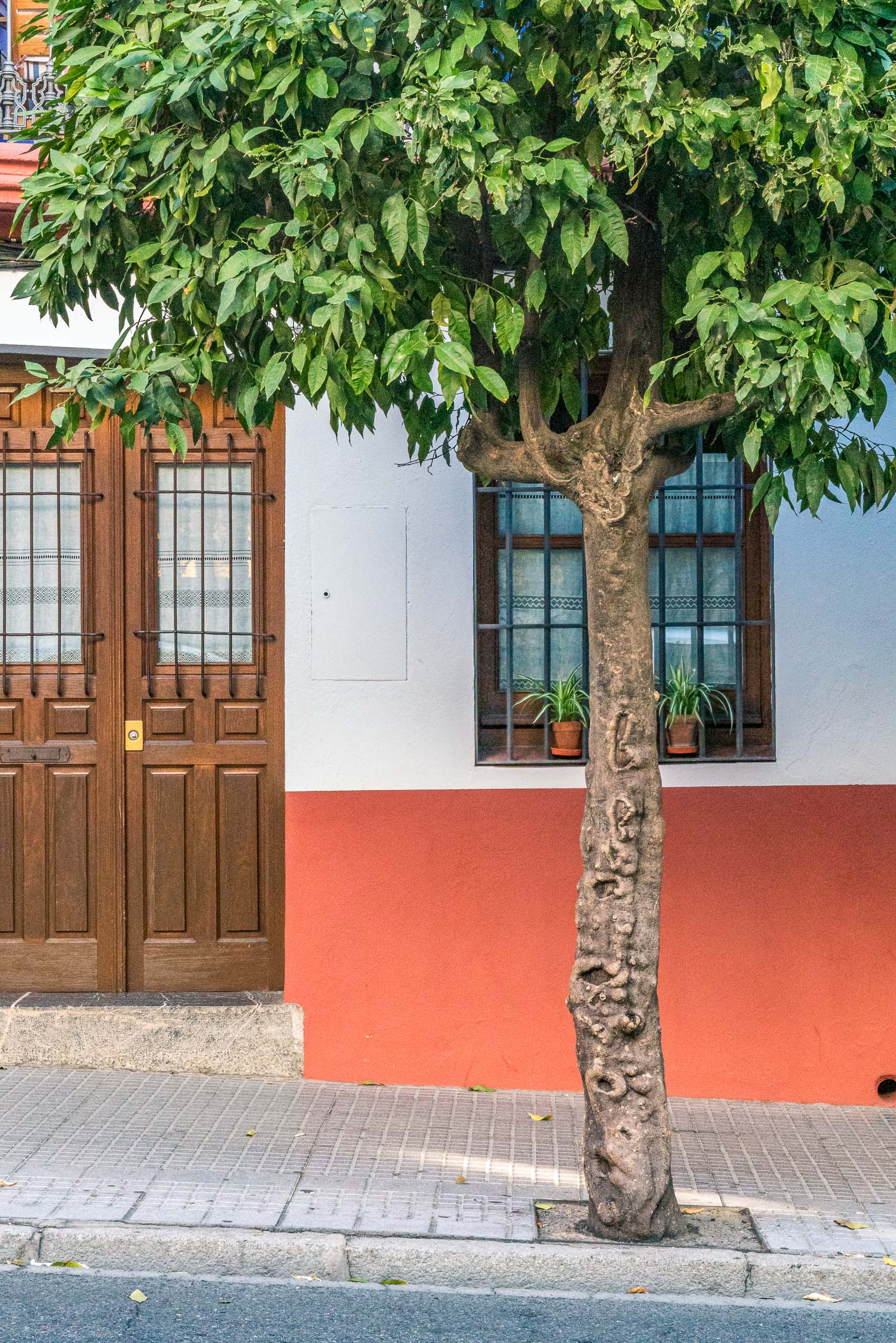 Travel and street photography of Cordoba Andalusia Spain made by New York photographer Mary Catherine Messner (mcmessner).