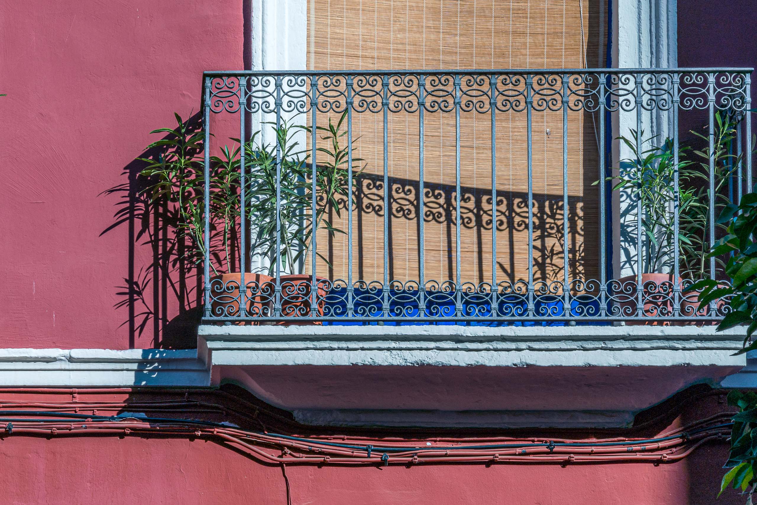 Travel and street photography of Cordoba Andalusia Spain made by New York photographer Mary Catherine Messner (mcmessner).