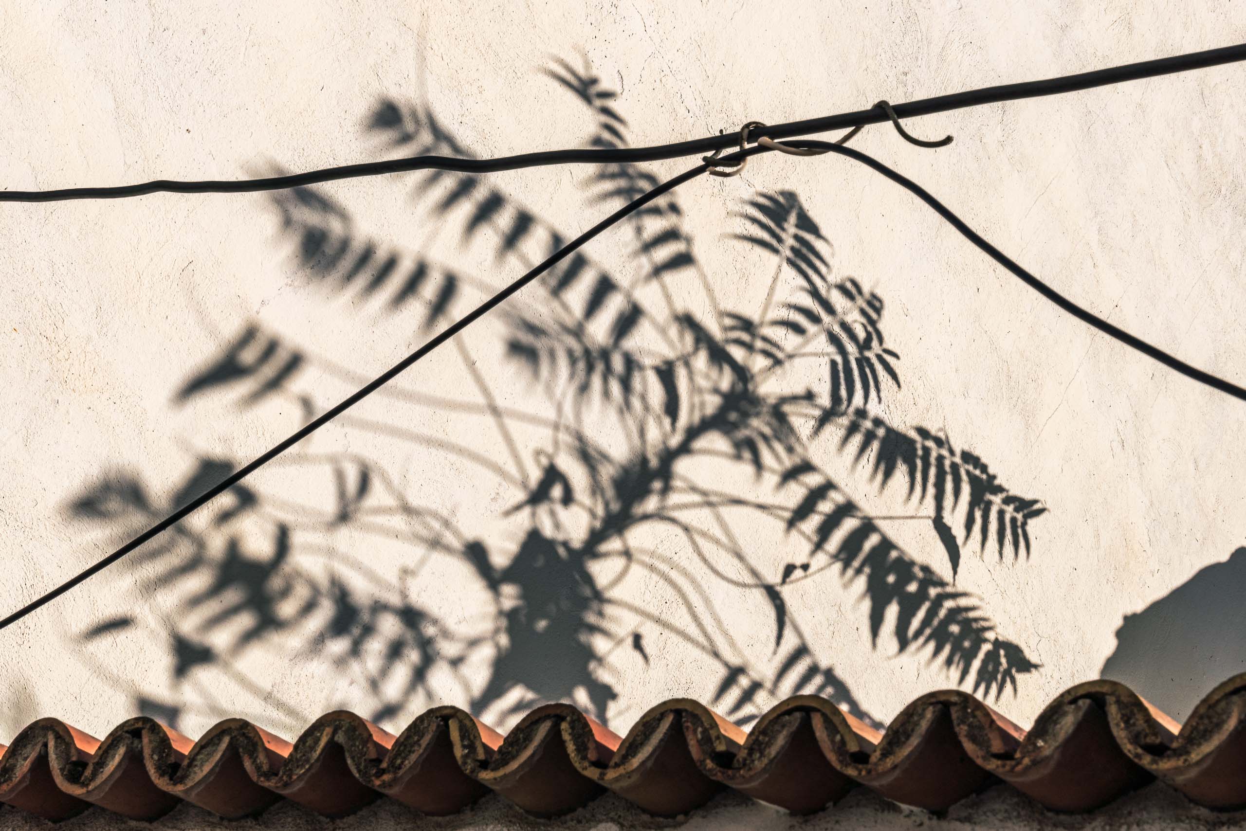 Travel and street photography of Cordoba Andalusia Spain made by New York photographer Mary Catherine Messner (mcmessner).