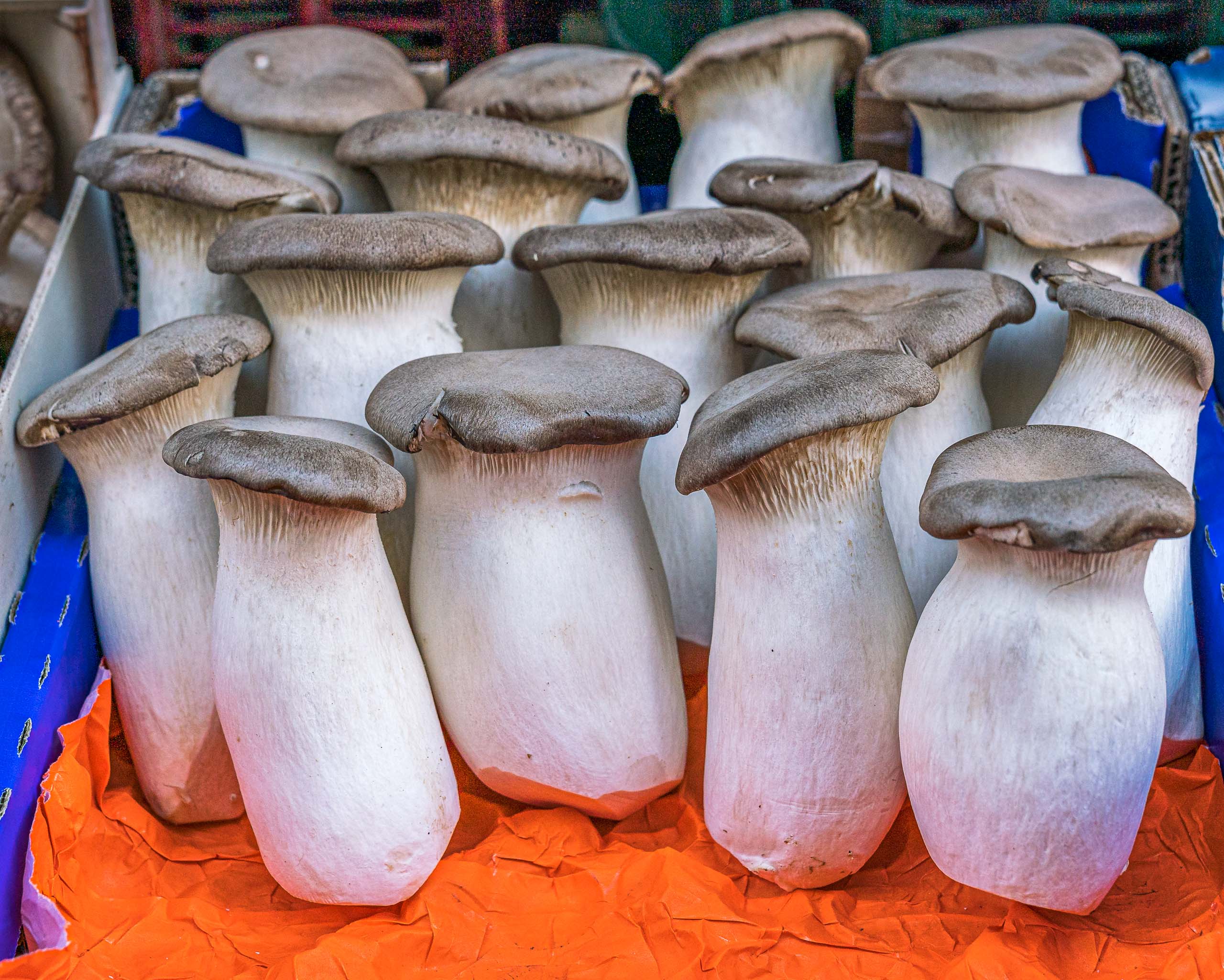 Travel and street photography of Cordoba Andalusia Spain made by New York photographer Mary Catherine Messner (mcmessner).