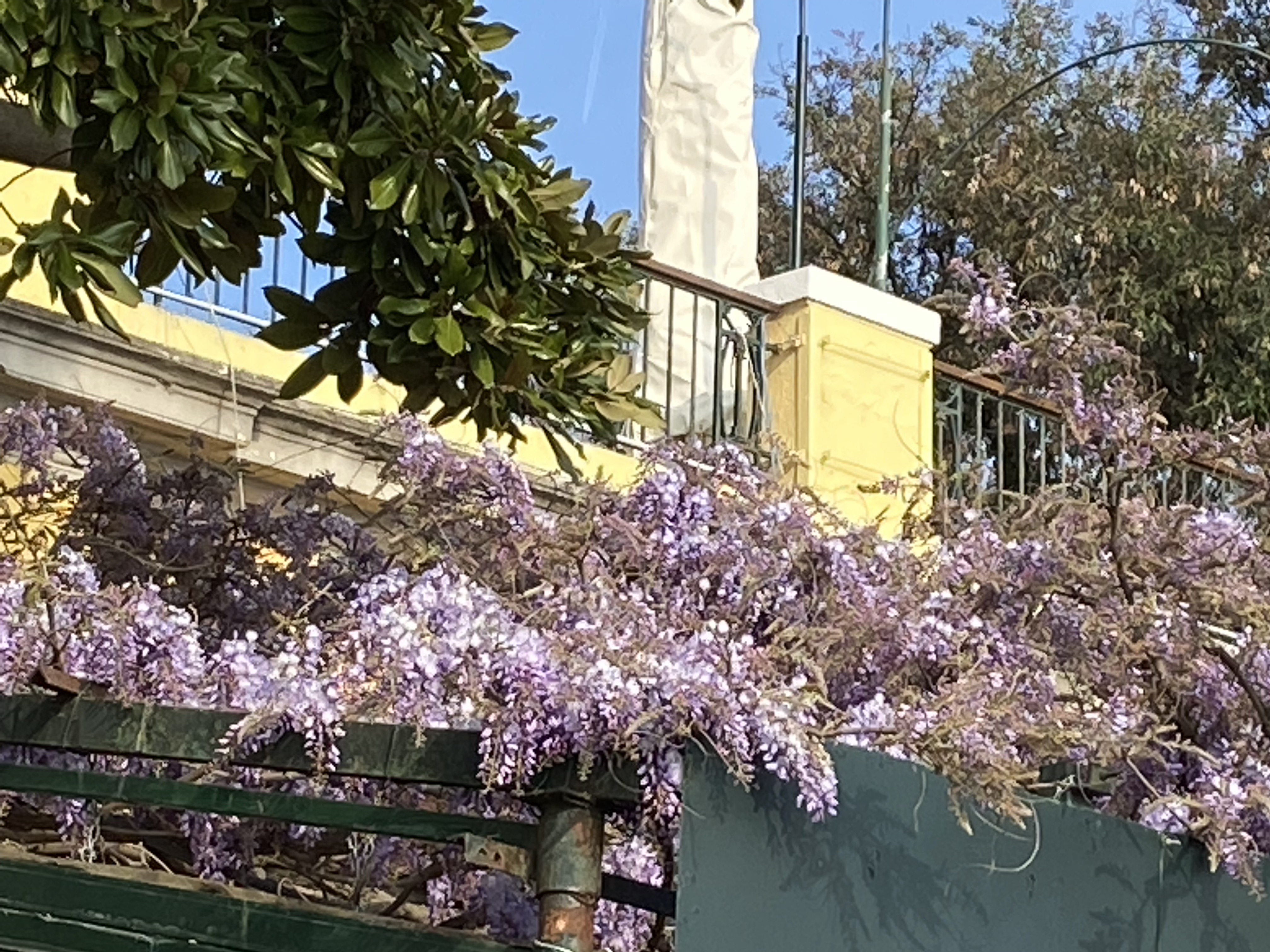 Travel and street photography of Venice Veneto Italy made by New York photographer Mary Catherine Messner (mcmessner).
