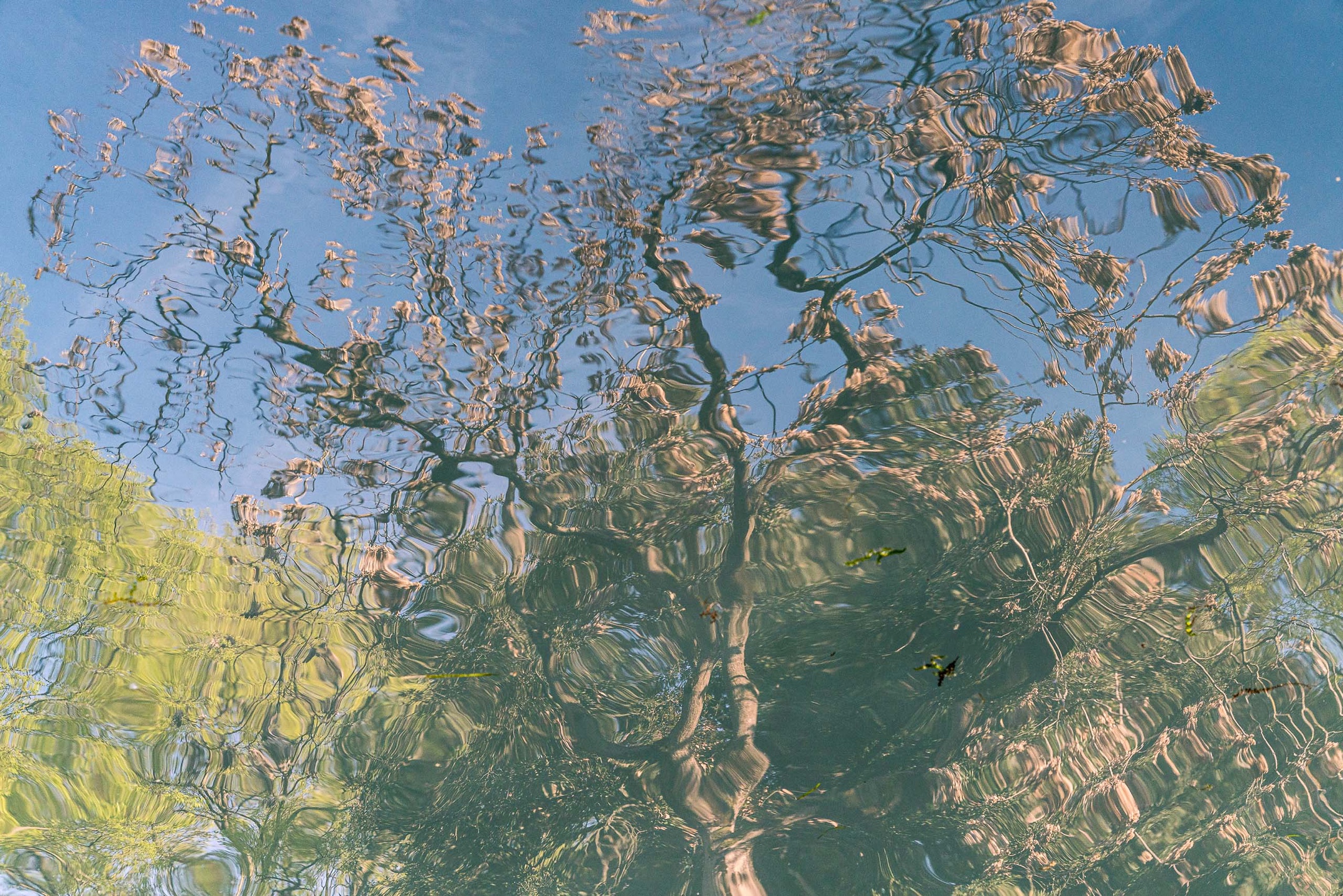 Travel and street photography of Venice Veneto Italy made by New York photographer Mary Catherine Messner (mcmessner).