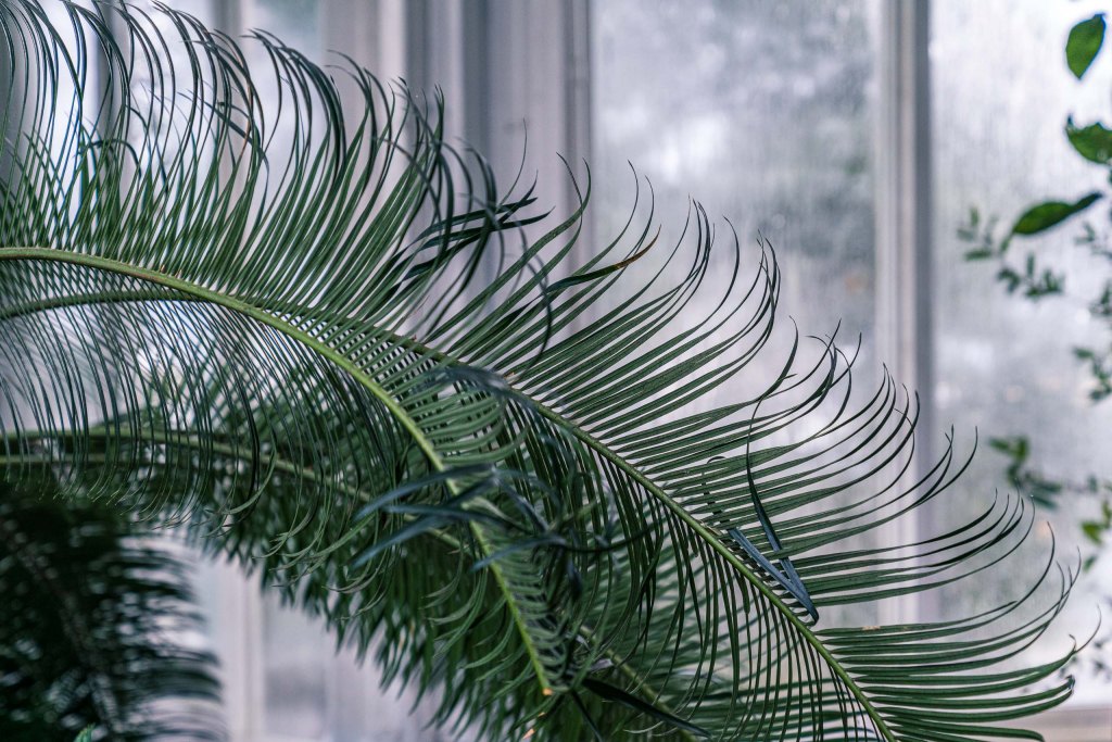 Fine Art and travel photography of New York City New York USA made by New York photographer Mary Catherine Messner (mcmessner).