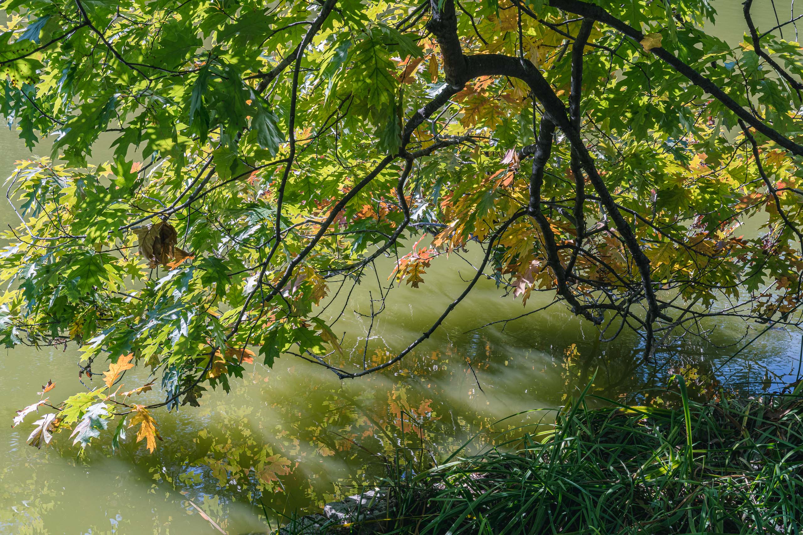 Fine Art and travel photography of Chicago IL USA made by New York photographer Mary Catherine Messner (mcmessner).