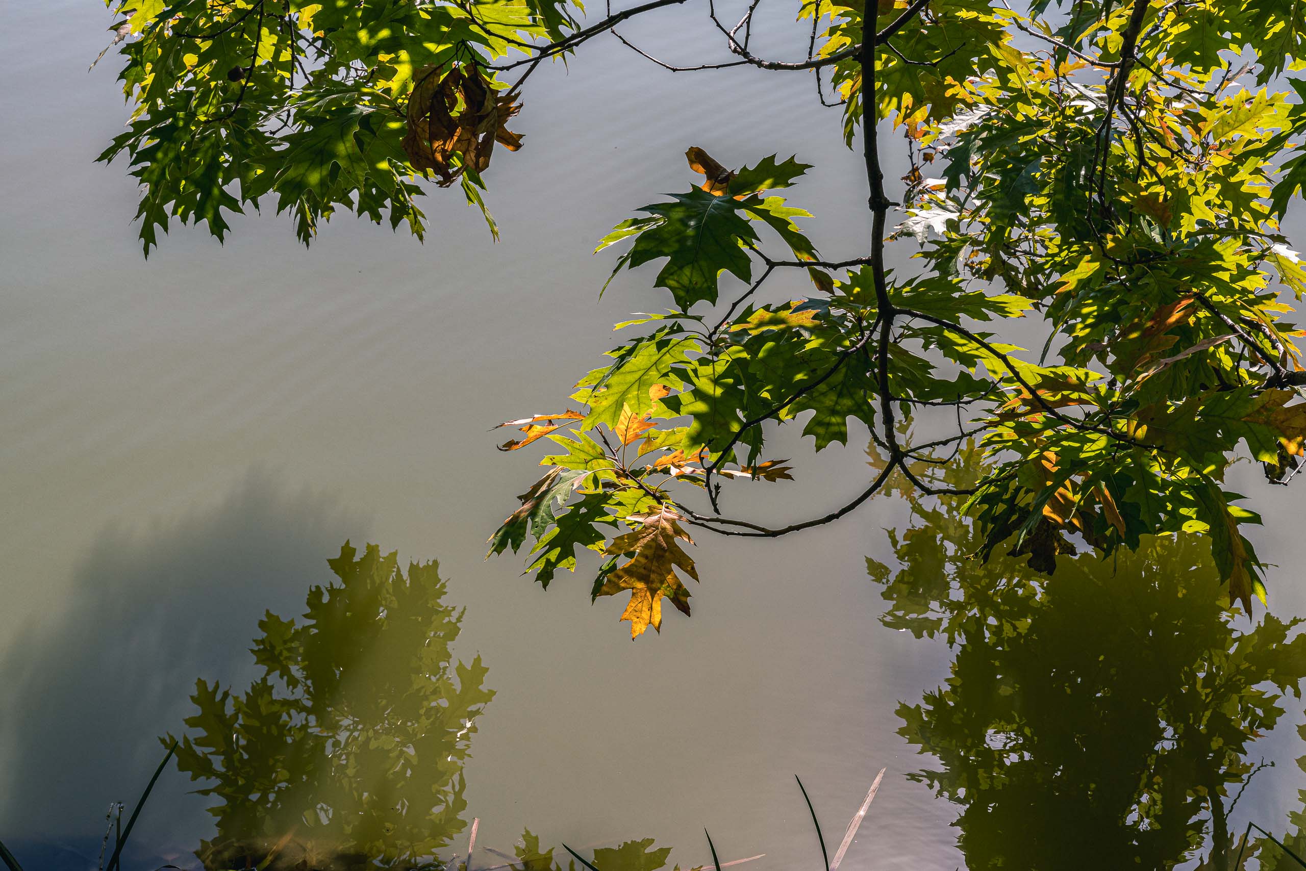 Fine Art and travel photography of Chicago IL USA made by New York photographer Mary Catherine Messner (mcmessner).