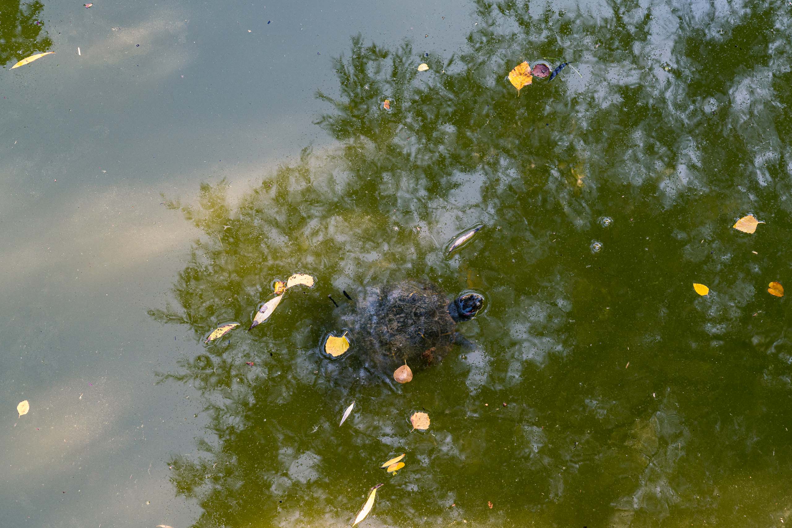 Fine Art and travel photography of Chicago IL USA made by New York photographer Mary Catherine Messner (mcmessner).